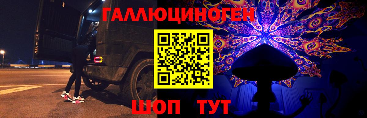 Псилоцибиновые грибы Psilocybine cubensis  Вход с VPN  Джанкой 